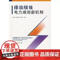 [正版书籍]排放绩效:电力减排新机制