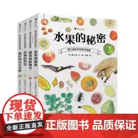 盛口满的手绘自然图鉴系列4册套装 蔬菜的植物学水果的秘密 浪花朵朵童书 儿童插图蔬菜水果谷物骨头科普百科绘本书籍