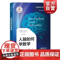 人脑如何学数学 周加仙 数学活动教学参考书 心理学研究 神经科学研究 数学认知领域研究 教育神经科学译丛 上海教育出版