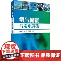 [正版书籍]氢气储能与发电开发