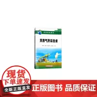 [正版书籍]天然气开采技术