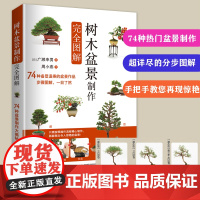 [店]树木盆景制作完全图解 盆景书籍盆栽书籍 盆景造型设计图盆景制作书养护书籍盆景艺术造型书树木盆景造型设计书