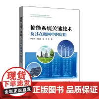 储能系统关键技术及其在微网中的应用