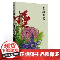 崇礼野花