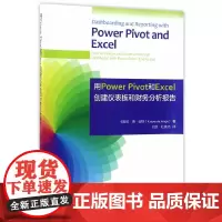 用Power Pivot和Excel 创建仪表板和财务分析报告