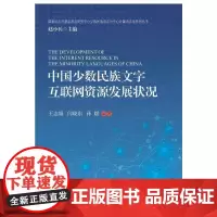[正版书籍]中国少数民族文字互联网资源发展..