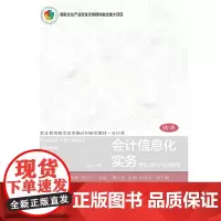 会计信息化实务(第三版)