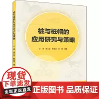桩与桩帽的应用研究与策略 王勇 等 著 建筑/水利(新)专业科技 正版图书籍 武汉大学出版社