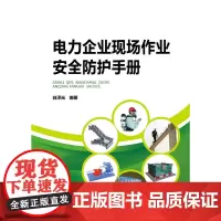 [正版书籍]电力企业现场作业安全防护手册