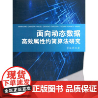 [正版书籍]面向动态数据属性约简算法研究