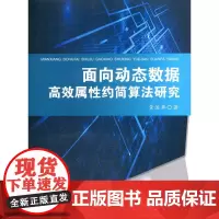 [正版书籍]面向动态数据属性约简算法研究