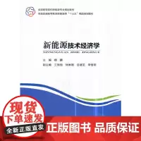 [正版书籍]新能源技术经济学(全国高等院校新能源专业规划教材 全国普通高等教育新能源类“十三五”精品规划教材)