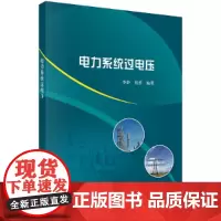 [正版书籍]电力系统过电压