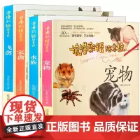 经典全集 4册 彩色铅笔画零基础入门教程材自学手绘本插画动漫临摹初学者儿童成书宠物猫狗鱼鸟动物家禽水族飞禽篇画册技法书