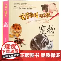 浪漫彩铅系列 宠物 彩铅猫狗的萌动瞬间 随意绘随时开始您的记录之旅色铅笔画入门基础绘画教程 彩铅插画技法书 漫画美术教程