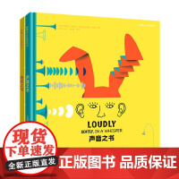 [接力出版社]声音和视觉之书2册套装 5-10岁儿童绘本好奇心科普图画书 宝宝艺术早教视觉启蒙专注力训练激发认知正版书籍