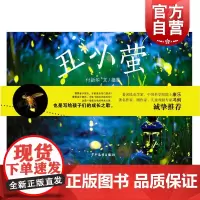 丑小萤 3-4-5-6岁儿童成长绘本 早教启蒙益智图画书 亲子阅读 宝宝睡前故事书 自然科普图书籍