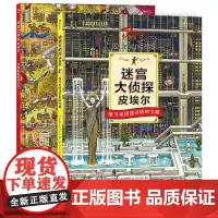 正版 迷宫大侦探皮埃尔2册套装 寻找被盗的迷宫石 保卫帝国迷宫塔的宝藏 8开精装本益智游戏书儿童绘本7-10岁