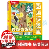 图画捉迷藏 2020彩图精华版全套2册小学生版儿童专注力训练找不同高难度隐藏的图画书注意力提升书籍迷宫书正版图书