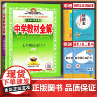 2024春新版薛金星中学教材全解七年级下册语文书人教版 版 初中初一辅导书7七下课本同步训练初中解读讲解析练习册资料中学