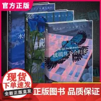 正版 市川忧人作品全套3册 水母不会冻结+蓝玫瑰不会安眠+玻璃鸟不会归来 午夜文库侦探悬疑破案犯罪本格推理小说书籍全集