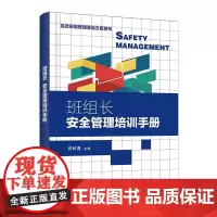 正版 高效班组管理落地方案系列 班组长安全管理培训手册 班组安全责任与意识班组管理技能 安全管理企业经营安全生产职责