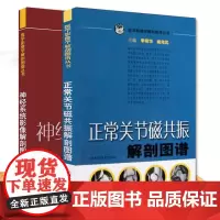 正版 正常关节磁共振解剖图谱+神经系统影像解剖图谱 两本套装 医学影像学解剖图谱丛书 上海科学技术出版社