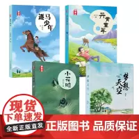 晋童年系列丛书逐马少年丹青童年小花脸梦想天空山西本土原创儿童文学作品老爸是台故事机李骏虎评论崔昕平儿童文学读物