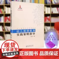 正版 幼儿教师教育实践策略指导 王化敏 幼儿教师专业指导丛书 健康 语言领域教育策略 社会领域 科学艺术环境 教育科