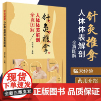 针灸推拿人体体表解剖全真图解 郭长青 主编 人体表面解剖学实用医学结构运动解剖功能系统列车奈特解刨断层基础彩色图谱全书体