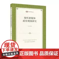 [正版书籍]视听新媒体政府规制研究
