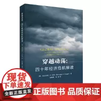 穿越动荡:四十年经济危机解读
