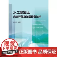 水工混凝土病害评估及加固修复技术