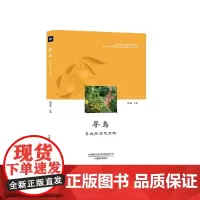[正版书籍]寻乌——寻迹脱贫攻坚路