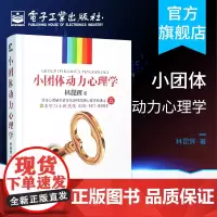 正版 小团体动力心理学 林昆辉 心理学原著之五 实用版 心理学入门基础书籍 领导力团队管理 社会大众发展心理学导论自学书