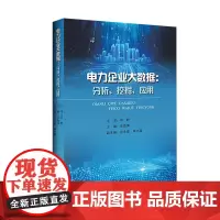 电力企业大数据:分析、挖掘、应用