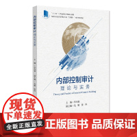 内部控制审计:理论与实务