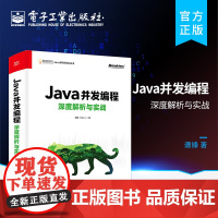 正版 Java并发编程深度解析与实战 java核心技术 java从入门到精通 Java并发编程体系的核心库和核心类使用及