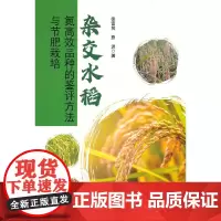 杂交水稻氮高效品种的鉴评方法与节肥栽培