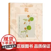 [正版书籍]我的手绘博物馆:花