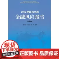 [正版书籍]2012中国与全球金融风险报告 中国篇