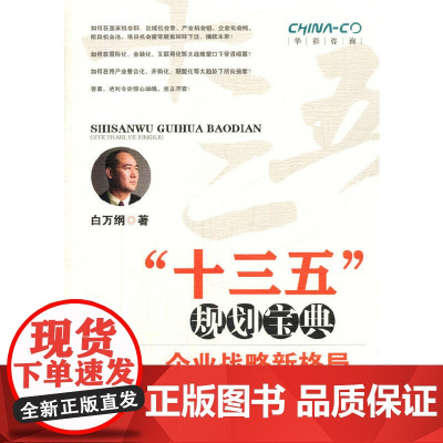 [正版书籍]“十三五”规划宝典——企业战略新格局