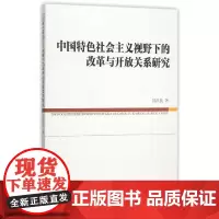 [正版书籍]中国特色社会主义视野下的改革与开放关系研究