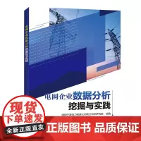[正版书籍]电网企业数据分析挖掘与实践