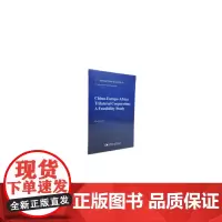 中欧非三方合作-(China-Europe-Africa Trilateral Cooperation: A Feasi