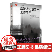 [正版书籍]系统式心理治疗工作手册(心理治疗经典与前沿译丛)