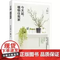 [正版书籍]今天起,植物住我家