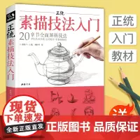 [正版书籍]正统素描技法入门