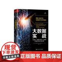 [正版书籍]大数据实战——大数据、数据科学和人工智能在商务决策中的应用