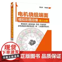 [正版书籍]电机绕组端面模拟彩图总集.第三分册